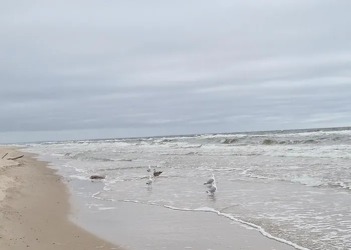 度假居 Baltic Kołczewo